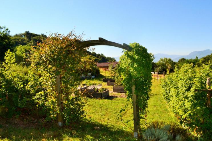 Bed and Breakfast La Voureyline Saint-Antoine  Zewnętrze zdjęcie